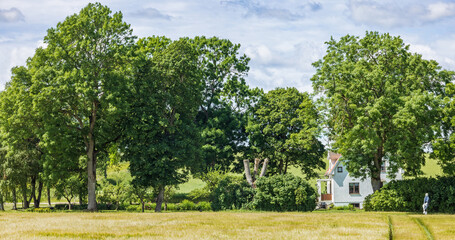 House in a tree grove in the countryside