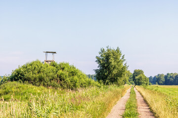 Dirt road by a meadow with a hunting tower in the countryside