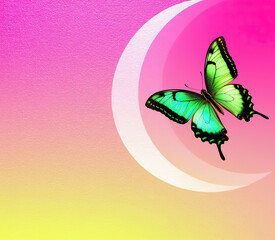 "Moonlit Emerald Wings." This image is suitable for digital wallpapers, greeting cards, or inspirational social media posts.