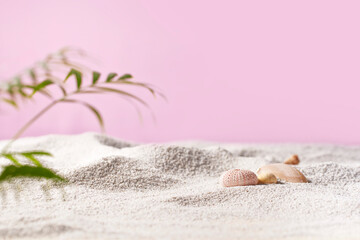 Seashells on Soft Beach Sand Minimal Summer Nature
Background.