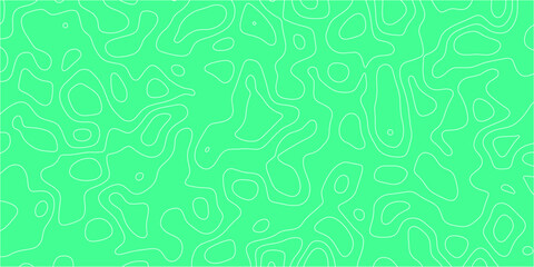 Fluid topographic pattern with organic style lines

