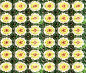 magic super cute abstract and nice picture