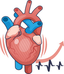 Illustration of a heart with increased rate, showing arteries and heartbeat graph.