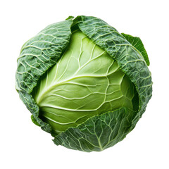 Fresh green cabbage isolated on a clean white background showcasing its natural beauty and texture vividly, cabbageisolated on white background