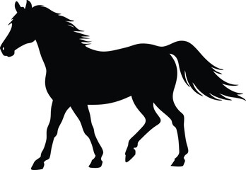 horse vector illustration