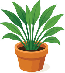 A potted plant with multiple long, slender leaves in a terracotta pot