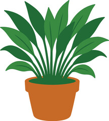 A potted plant with many long, slender leaves in a terracotta pot