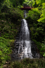 豪快な滝　五宝の滝　岐阜県	