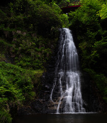 豪快な滝　五宝の滝　岐阜県	
