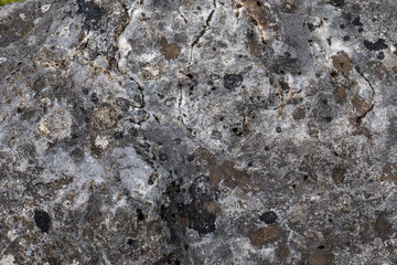 Detail of weathered limestone rock with natural texture, cracks, and dark spots. Photographed in the Tatra Mountains, Slovakia.