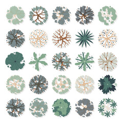 hand drawn cute cartoon vector illustration top view of tree isolated on white background.