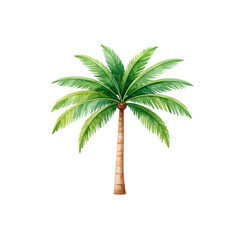 Obraz premium Isolated tropical palm tree on a white background