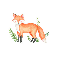 Obraz premium A cute cartoon red fox, a wild mammal, stands isolated on a white background with a sign, embodying the essence of wildlife