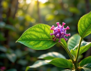 close up of kaffir lime leaves with glowing antiviral particles, tropical forest background, modern thai herbal medicine art