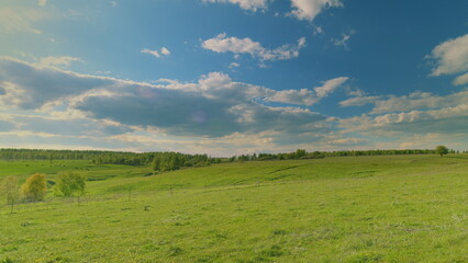 Fototapeta premium A Beautiful Green Meadow Under a Clear Blue Sky Decorated with Fluffy White Clouds Time lapse.