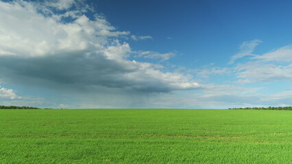 A Vast Green Field Spreading Out Under a Clear and Bright Blue Sky, Perfectly Calm and Serene Time lapse.