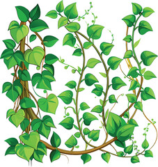 Creeper vines, Green Ivy Vines Nature's Climbing Beauty, Lush Foliage and Elegant Twining Plants, 