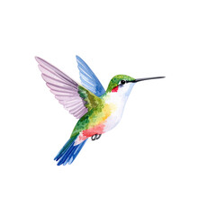 Fototapeta premium Ruby-throated hummingbird in flight, wings spread, approaches a vibrant flower to sip nectar, a small, green avian marvel of nature