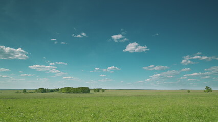 A Vast Green Field Spreading Out Under a Bright, Clear Blue Sky with Fluffy White Clouds