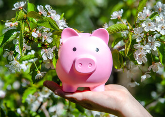 Girl holding piggy Bank against the background of blossoming Cherry
