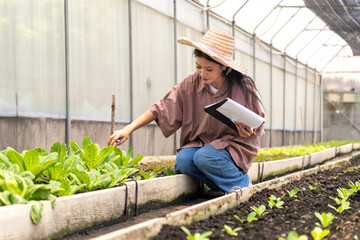 Children learn to grow vegetables and collect data from experimental vegetable plots in a...