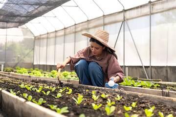 Children learn to grow vegetables and collect data from experimental vegetable plots in a...