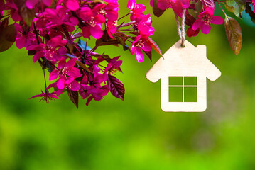 Symbol of the house on the branches of a flowering decorative apple tree
