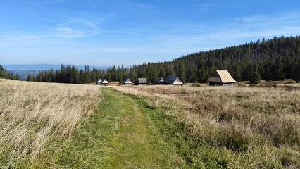 Idyllic Mountain Cabins