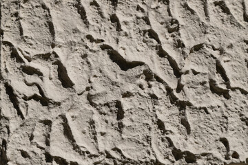 Close-Up of Textured Stone Surface in Natural Light