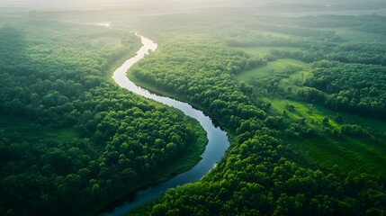 Aerial view of the Amazonas jungle landscape with river bend