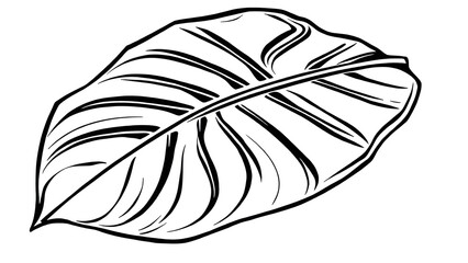Large stylized tropical leaf (monstera or banana leaf) drawn in one continuous line.