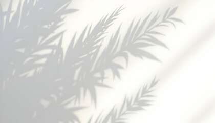 Shadows of Foliage on White Surface for Artistic Backgrounds