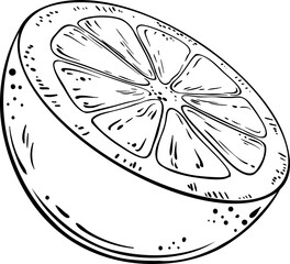 Orange Fruit Outline Illustration
