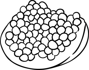 Pomegranate Fruit Outline Illustration
