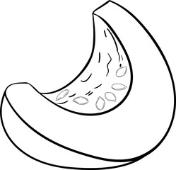 Pumpkin Fruits and Leaves Outline Illustration. Organic natural nutritional healthy food ingredient, vegetarian diet product.
