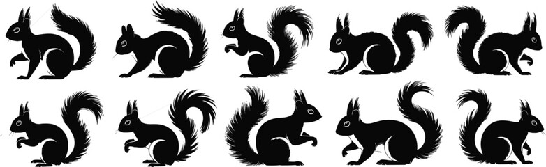 Playful Squirrel Silhouettes: Cute Woodland Animals with Bushy Tails, Ideal for Nature, Wildlife, Autumn, and Forest-Themed Designs