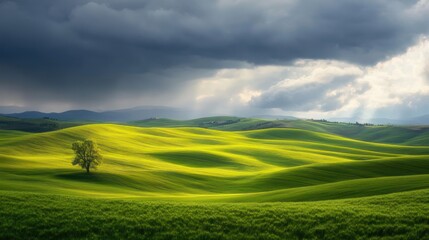 Obraz premium Wide open summer grassland under bright blue sky, dry golden grass swaying in warm wind, peaceful countryside landscape