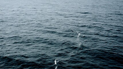 Ripples on dark ocean surface