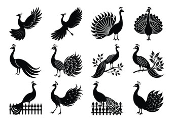 Elegant Peacock Silhouettes Vector Collection – Ornamental Birds with Unique Tail and Posing Designs On white background

