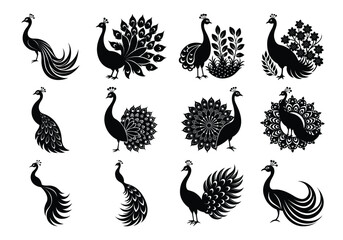 Fototapeta premium Elegant Peacock Silhouette Vector Set – Decorative Bird Icons with Ornamental Feathers on white background