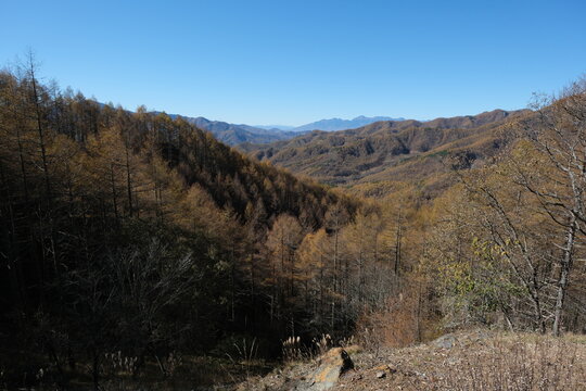 紅葉の日本の絶景トレイル。八ケ岳を望みながら歩く道。
Amazing trekking area in Japan. 