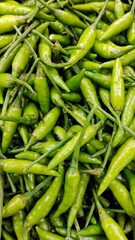 green chili peppers Field