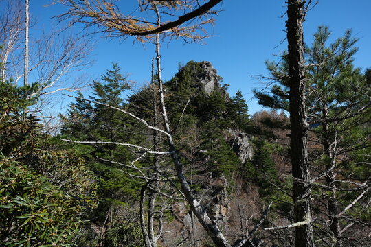 紅葉の日本の絶景トレイル。八ケ岳を望みながら歩く道。
Amazing trekking area in Japan. 