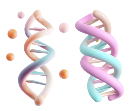 Colorful 3D DNA Double Helix Design on a Transparent Background