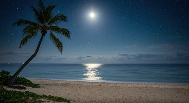 Serene night beach scene featuring a palm tree under a starry sky and moonlit ocean