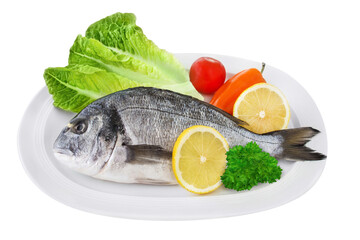 Dorade Goldbrasse und Salat Hintergrund transparent PNG cut out  Gilthead Sea Bream