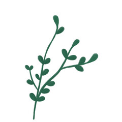 Floral Elements and Branches