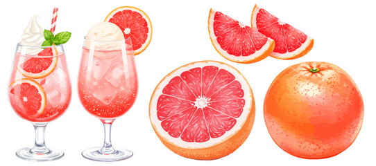 ピンクグレープフルーツのカットフルーツとクリームソーダの水彩風手書きベクターイラストセット 喫茶店の冷たい飲み物 /グレープフルーツソーダ
