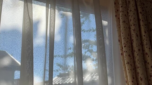 強風に煽られる木の影を窓越しに見る