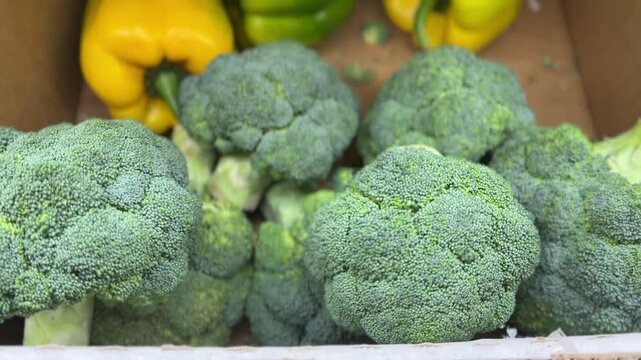 Close-up of green broccoli on shelf showing detailed florets and fresh organic texture
